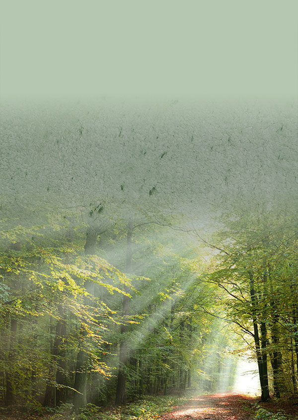 cropped-cropped-green-dream-1.jpg